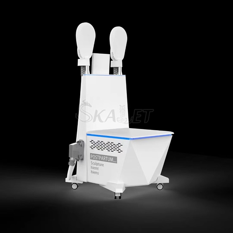 Hi-emt Ems Build Muscle Lift Buttom Fitness Device EMslim Fat Burning Weight Loss Slimming Sculpture Machine 2 In 1