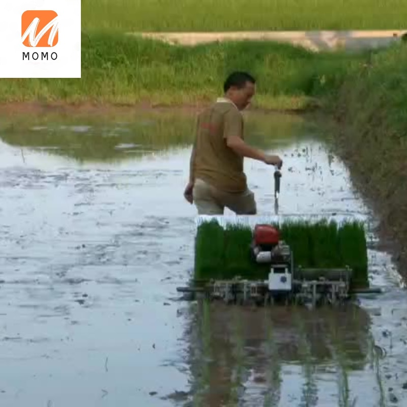 2020 New Walk-Behind Manual 6 Rows Paddy Rice Planting Machineb Walking Manual Paddy Rice Transplanter