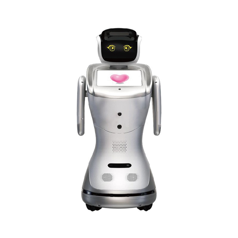 Customize Spanish Italian Danish Turkish Portuguese French Polish Korean Japanese Arabic German speaking Language service Robot
